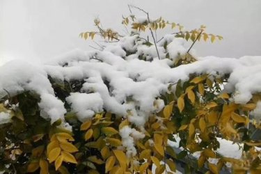 全国多地喜迎初雪，今冬或将迎来60年最冷冬天