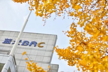 蓝光发展多名高管离职 房二代杨武正接班